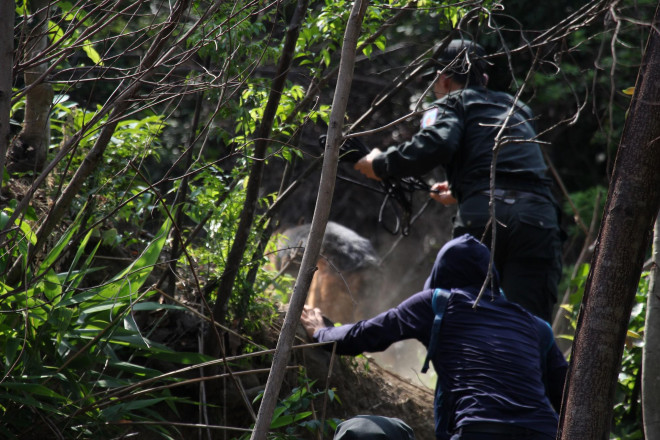 Địa hình đèo Hải Vân phức tạp khiến công tác truy lùng gặp nhiều khó khăn