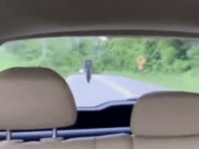 Thế giới xe - Video: Nổi hứng bốc đầu, lái xe môtô suýt mất mạng trong nháy mắt