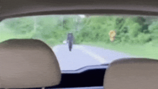 Video: Nổi hứng bốc đầu, lái xe môtô suýt mất mạng trong nháy mắt - 1