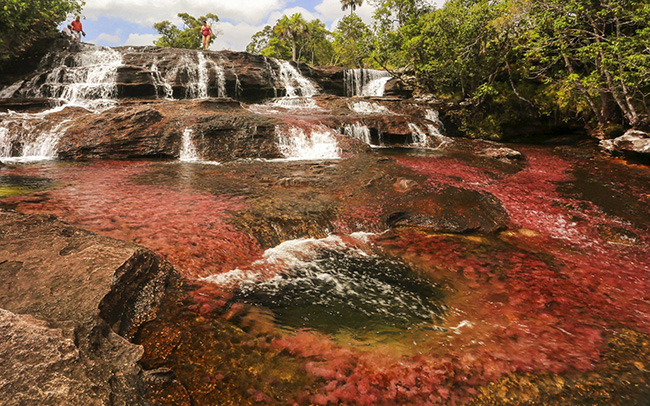 Caño Cristales, Colombia: Được biết đến với tên gọi khác nhau là cầu vồng lỏng, dòng sông 5 màu, Caño Cristales là một trong những tuyến đường thủy kỳ lạ nhất thế giới.
