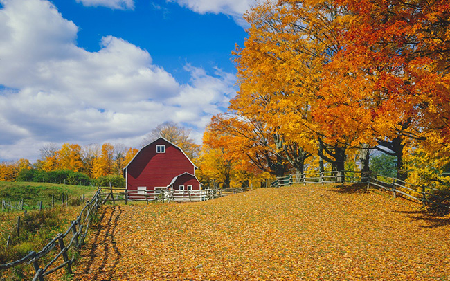 Màu sắc mùa thu, New England, Mỹ: Đầu tháng 10, lá trên khắp các bang Connecticut, Maine, Massachusetts, New Hampshire, Rhode Island và Vermont dần chuyển từ màu xanh lá cây sang vàng và hổ phách, cảnh tượng tuyệt đẹp khiến rất nhiều du khách thích thú.
