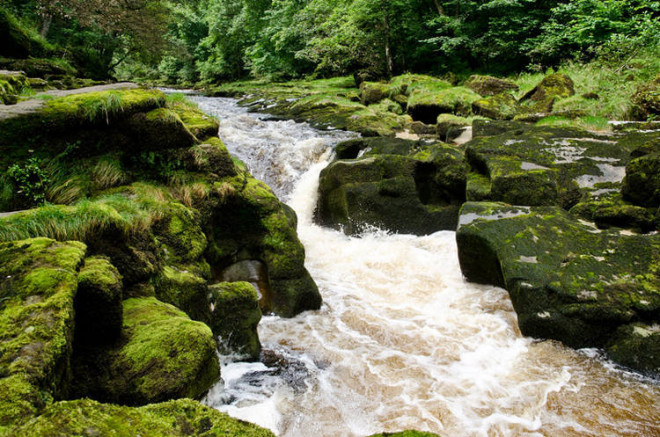 Dòng suối&nbsp;Bolton Strid ở&nbsp;Yorkshire, Anh