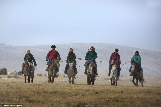 Ngựa của Thành Cát Tư Hãn và cảnh sát kị binh Mông Cổ ngày nay - 2