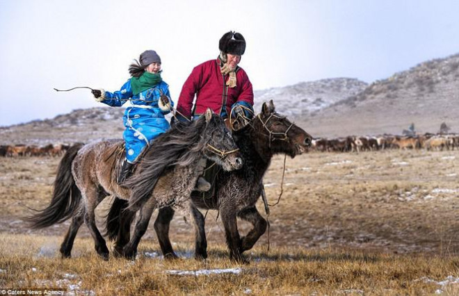 Ngựa của Thành Cát Tư Hãn và cảnh sát kị binh Mông Cổ ngày nay - 4