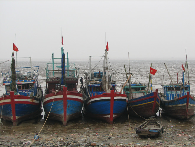 Tàu cá neo đậu ở vùng biển Hậu Lộc