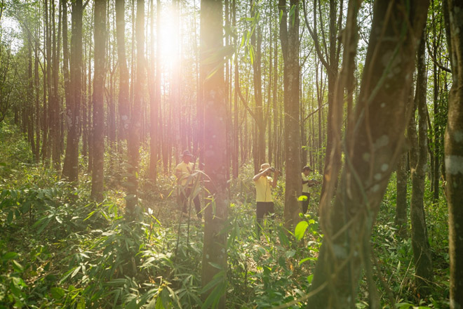 Những con người mang tâm xanh để giữ cho rừng xanh mãi…