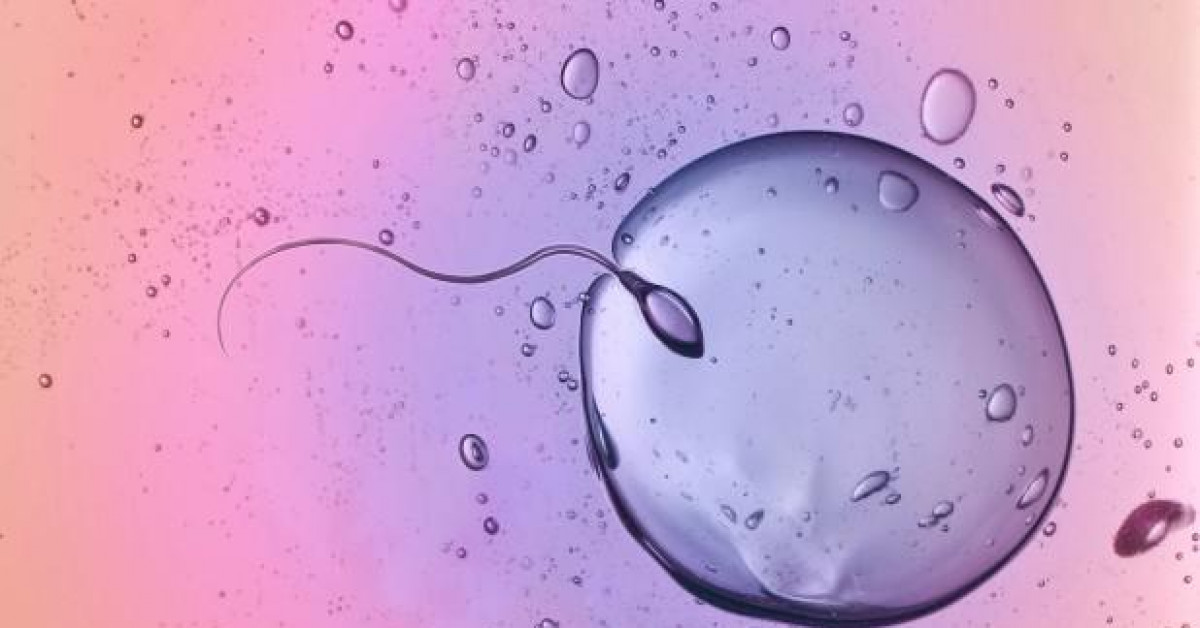 Sức khỏe đời sống - Phát hiện mới: Trứng của phụ nữ biết … lựa chọn tinh trùng