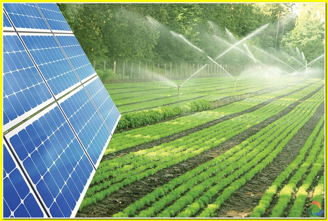 Việt Nam Solar mở ra kỷ nguyên mới với giải pháp điện mặt trời cho nông nghiệp - 2