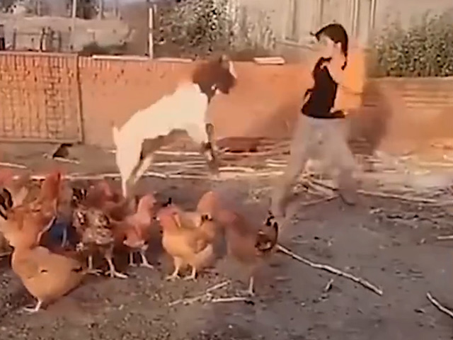 Tranh vui - Đôi khi chúng ta cần phải biết "điểm dừng" ở đâu