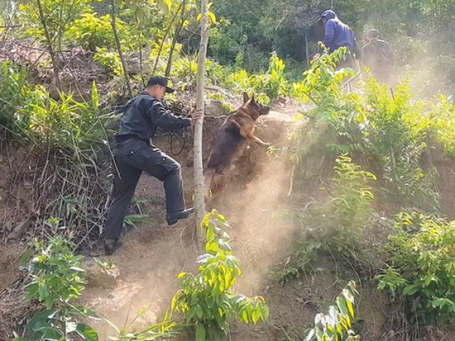 Pháp luật - Nóng trong tuần: Phát hiện dấu vết của Triệu Quân Sự trong rừng Hải Vân