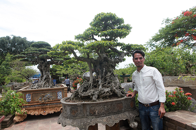Cây sanh cổ tên “Hoàng Sơn băng giá đệ nhất đỉnh” có tuổi đời khoảng 200 năm của anh Nguyễn Văn Chí (Thường Tín, Hà Nội) vẫn là một ẩn số bởi cây sanh này chưa xuất hiện tại bất kì một triển lãm nào.
