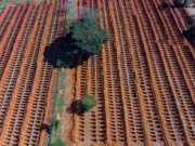 Thế giới - Brazil: Người chết lâu năm phải nhường huyệt mộ cho  nạn nhân Covid-19