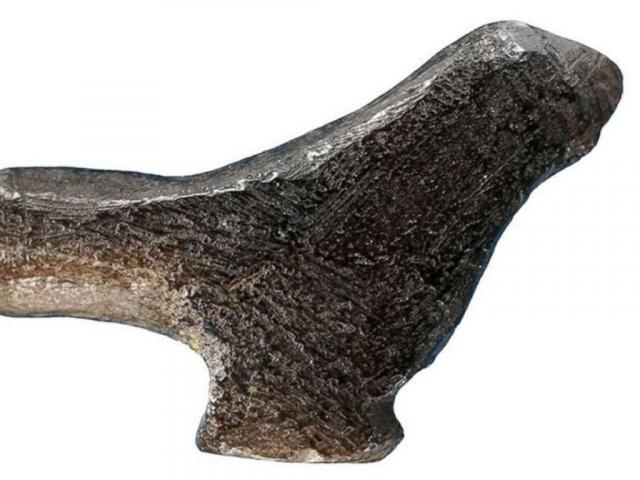 Thế giới - Phát hiện cổ vật lâu đời nhất lịch sử Trung Quốc