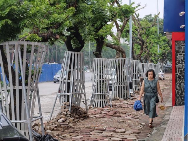 Kinh doanh - Hàng cây được Hà Nội lắp 40 camera chống trộm và "áo giáp sắt" bảo vệ quý cỡ nào?