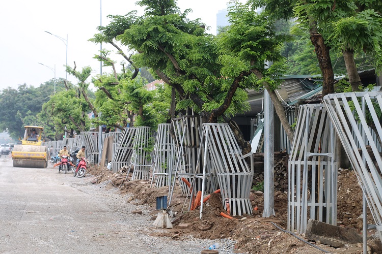 Để thực hiện dự án cầu vượt nút giao Hoàng Quốc Việt – Nguyễn Văn Huyên, một trong những vấn đề nan giải là dịch chuyển 35 cây gỗ sưa đỏ quý hiếm (Trong đó một cây chết, 34 cây sống)