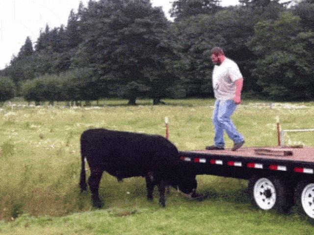 Tranh vui - Đàn ông "nghịch dại" thì không ai bằng