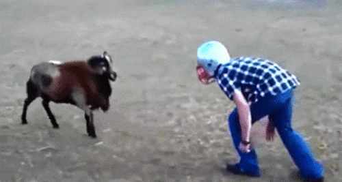 Đàn ông "nghịch dại" thì không ai bằng - 7