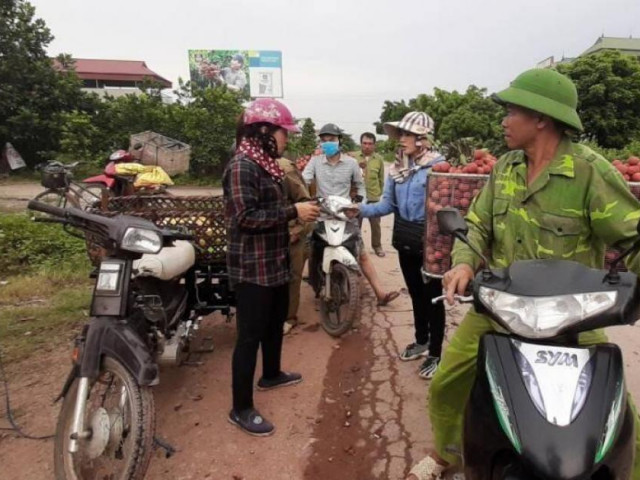 Thị trường - Tiêu dùng - Video: Cận cảnh người trồng vải Bắc Giang bị thương lái ép giá, trừ lùi cân