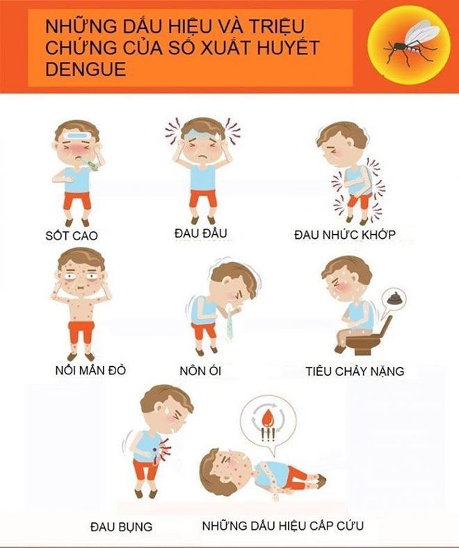 Lơ là chủ quan có thể khiến bạn “mất mạng như chơi” vì căn bệnh quen thuộc trong mùa mưa này - 2