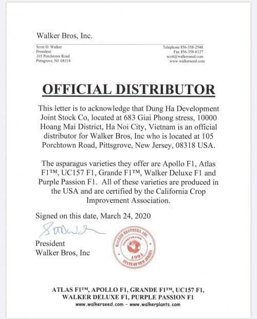 Nông Sản Dũng Hà - Chuyên cung cấp hạt giống măng tây và bao tiêu sản phẩm trên toàn quốc - 2