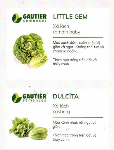 Nông Sản Dũng Hà - Chuyên cung cấp hạt giống măng tây và bao tiêu sản phẩm trên toàn quốc - 5