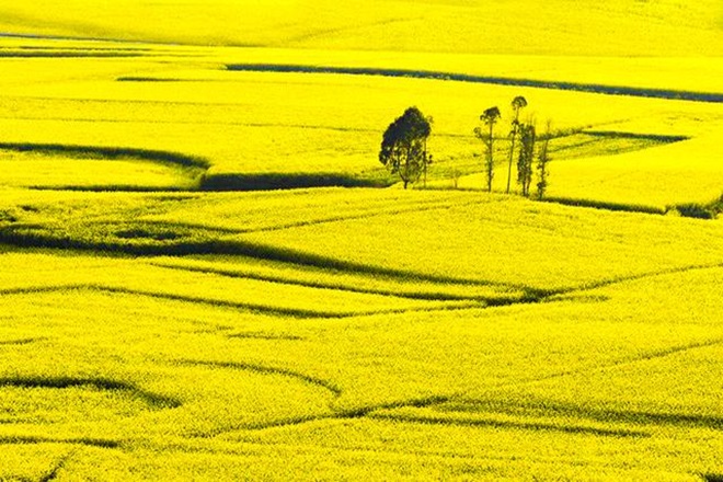 Tiên cảnh "Tuyệt tình cốc" phim Kim Dung vẫn chưa là gì với 5 địa danh quay phim cổ trang này - 6