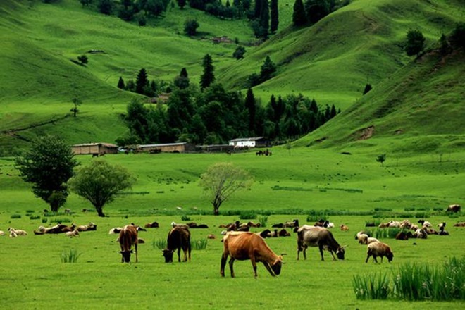 Tiên cảnh "Tuyệt tình cốc" phim Kim Dung vẫn chưa là gì với 5 địa danh quay phim cổ trang này - 2