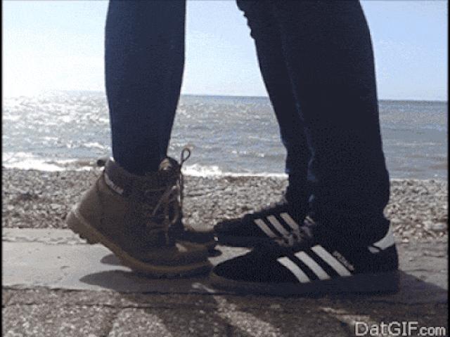 Tranh vui - Khi cuộc sống này toàn là những "cú lừa"