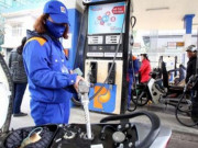 Thị trường - Tiêu dùng - Giá dầu hôm nay 20/6: Tăng như vũ bão trước hi vọng cắt giảm nguồn cung