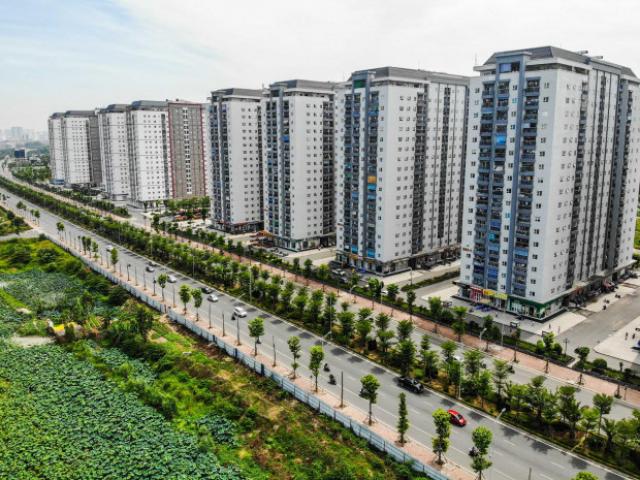 Tin tức trong ngày - Clip: Hàng loạt cây héo khô trên con đường ngàn tỉ vừa đi vào sử dụng