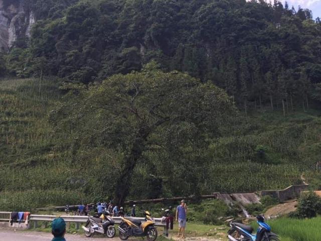 Tin tức trong ngày - Rủ nhau đi tắm suối, hai thiếu nữ tử vong thương tâm