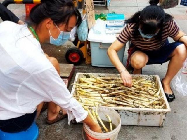 Thị trường - Tiêu dùng - Lấy thứ dưới ao ra phố bán, ngồi 30 phút có nửa triệu đồng ngon lành