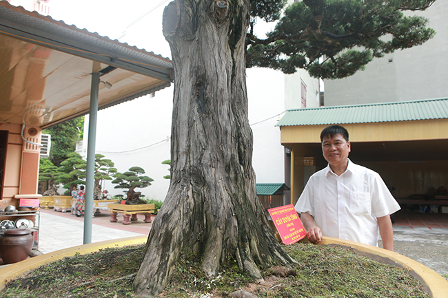 "Những cây đẹp, già, có thương hiệu thường mua rất khó. Mình phải có duyên mới sở hữu được vì “quý vật tìm quý nhân”, vị đại gia chia sẻ
