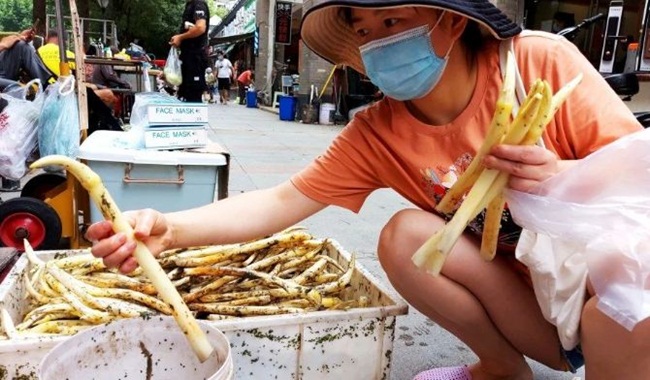 Ngó sen là bộ phận nằm sát gốc của cây sen, đây là phần non nhất của cọng lá sen.
