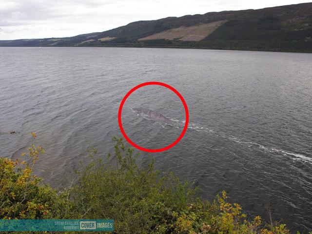 Phi thường - kỳ quặc - Bức ảnh mới, rõ ràng nhất từ trước đến nay chụp "quái vật hồ Loch Ness"