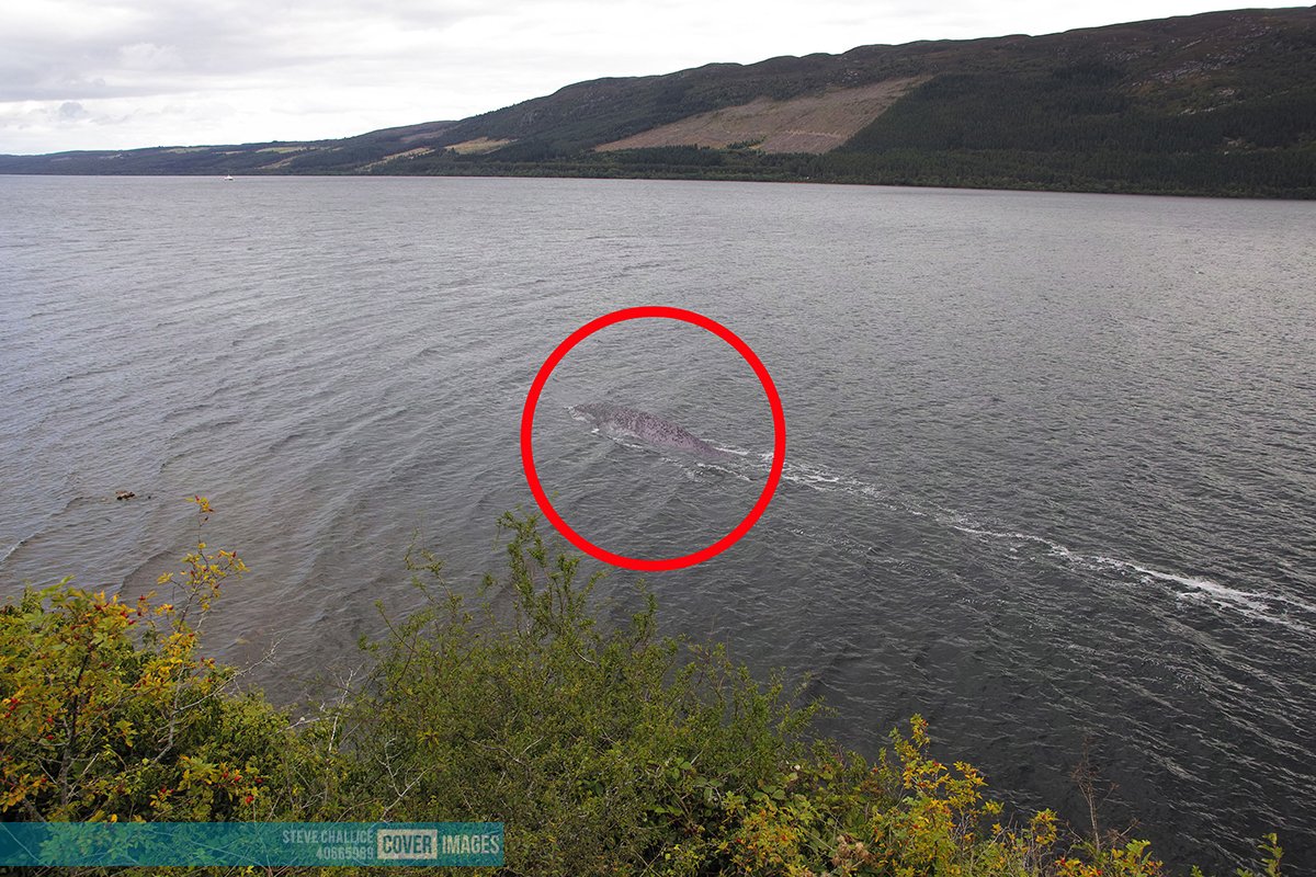 &nbsp;Bức ảnh về một sinh vật to lớn bơi trên hồ Loch Ness được Steve Challice chụp lại (ảnh: Daily Mail)