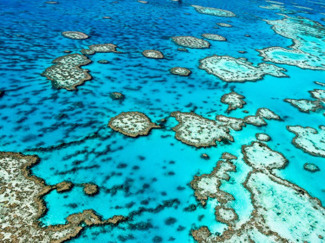 Rạn san hô Great Barrier, Australia: Nằm ở ngoài khơi bờ biển phía đông bắc Australia, Great Barrier là rạn san hô lớn nhất thế giới với chiều dài hơn 2.000 km, tương đương chiều dài của công trình Vạn Lý Trường Thành ở Trung Quốc.
