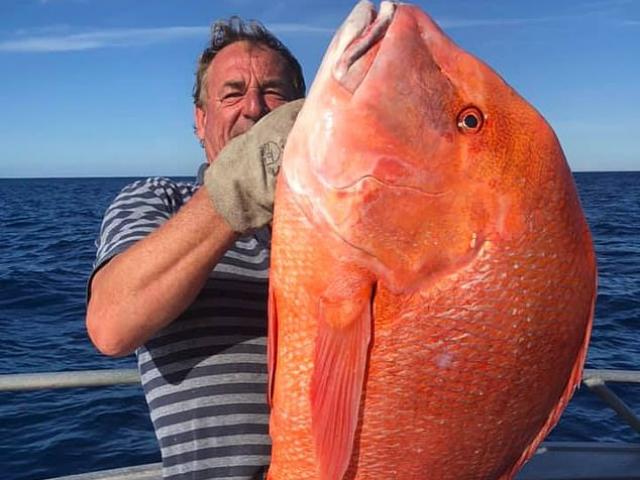 Phi thường - kỳ quặc - Câu được cá “khủng” dài 1 mét, nặng 22kg và hành động bất ngờ