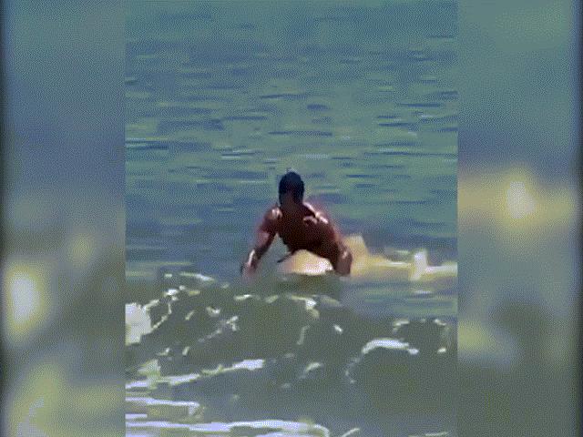 Thể thao - Choáng váng: Kình ngư vật lộn giữa biển, tay không bắt sống cá mập