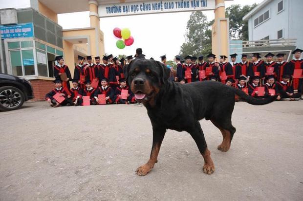 Đang hào hứng chụp ảnh kỷ yếu, học trò dở khóc dở cười khi có "vị khách lạ" xen vào - 1