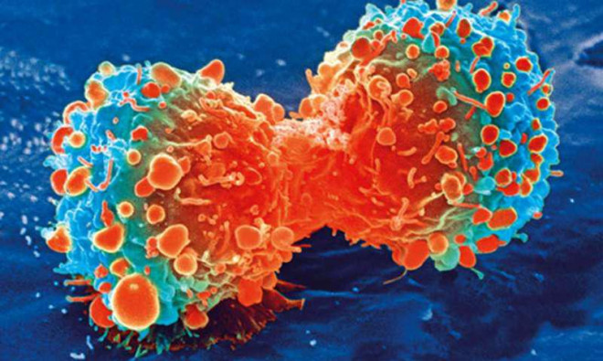 Phát hiện thứ ngay trong cơ thể khóa được ung thư gan - 1
