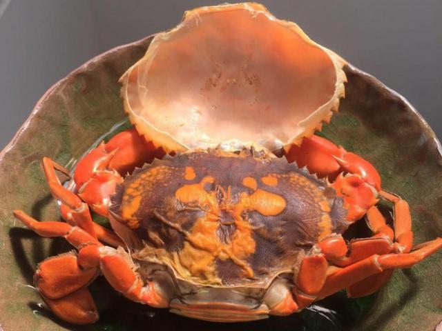 Thị trường - Tiêu dùng - Loại cua "siêu hiếm" được nhà giàu săn lùng, giá cả triệu đồng/kg: Có gì đặc biệt mà đắt đến thế?