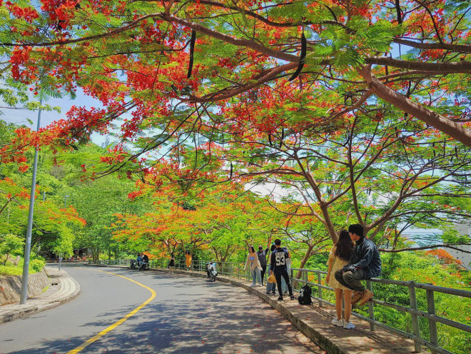 Giới trẻ Sài Gòn truyền tai nhau trải nghiệm con đường mùa hè đẹp nhất thành phố biển Vũng Tàu - 1