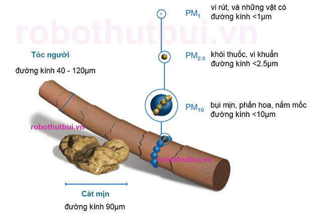 Cấu tạo và kích thước cơ bản của các loại bụi mịn trong không khí