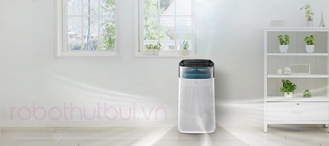 Trồng cây xanh trong nhà và sử dụng máy lọc không khí là phương pháp hiệu quả nhất hiện nay