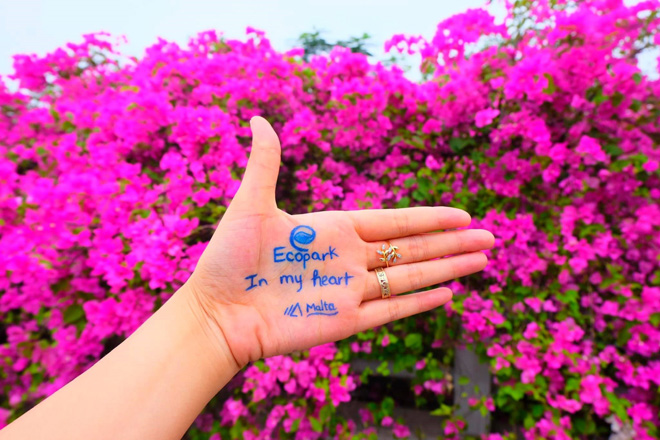 Những hình ảnh check-in “siêu chất” tại Ecopark gây “bão” cộng đồng mạng - 8