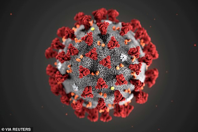 Protein dạng gai (tô màu đỏ)&nbsp;của virus Corona.