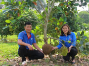 Kinh doanh - Chàng trai 9X biến mảnh đất hoang thành trang trại trăm triệu