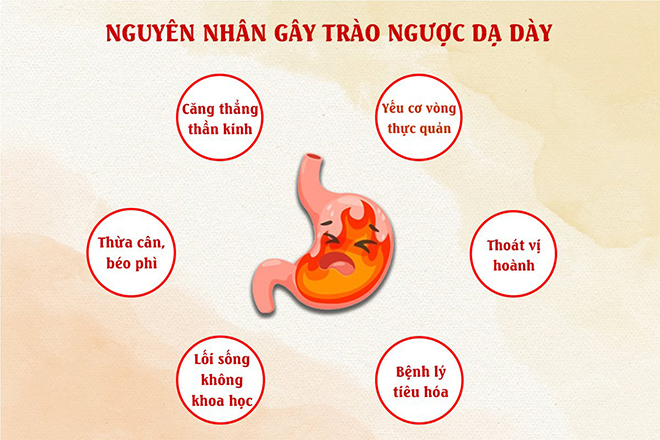 Không thể “tạm biệt” trào ngược dạ dày nếu bạn chưa hiểu rõ 3 điều này! - 1