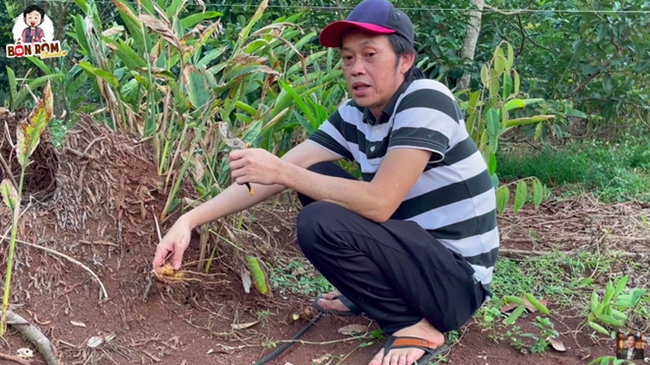 Cách đây ít ngày, danh hài Hoài Linh chia sẻ clip đến thăm khu vườn của mình ở Đồng Nai trên kênh Youtube. Trong clip, danh hài nổi tiếng mặc áo thun giản di, đi dép xỏ ngón cùng đàn em đi thăm vườn.
